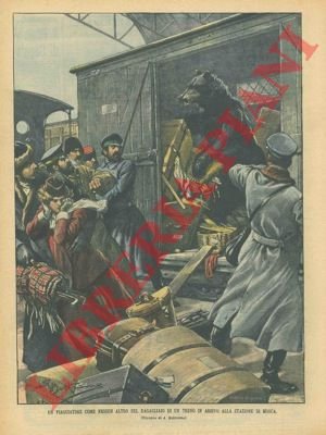 Orso clandestino trovato su un vagone merci di un treno.