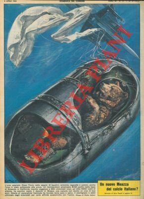 Orso é stato inviato nello spazio.