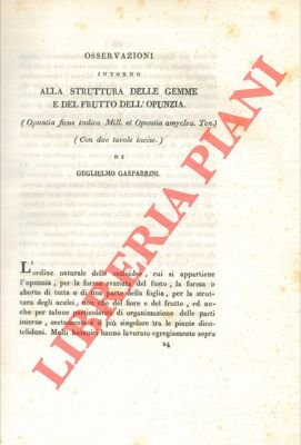 Osservazioni intorno alla struttura delle gemme e del frutto dell'opunzia …