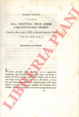 Osservazioni intorno alla struttura delle gemme e del frutto dell'opunzia …