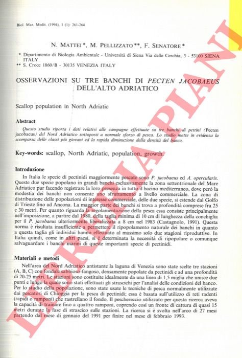 Osservazioni su tre banchi di Pecten jacobaeus dell'Alto Adriatico.