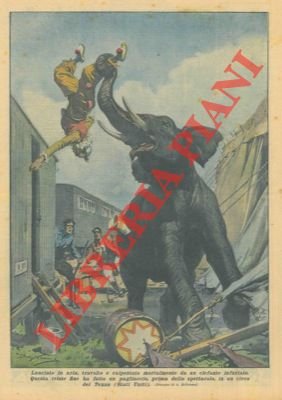 Pagliaccio lanciato in aria, travolto e calpestato mortalmente da un …