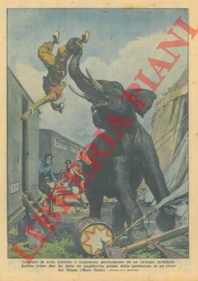 Pagliaccio lanciato in aria, travolto e calpestato mortalmente da un …