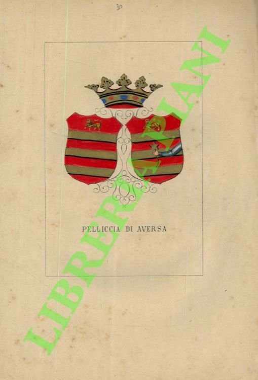 Pelliccia di Aversa.