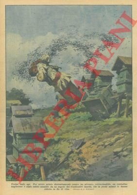 Per avere urtato distrattamente contro un alveare, rovesciandolo, un contadino …