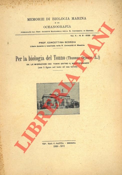 Per la biologia del Tonno. (Thunnus thynnus L.) XV - …