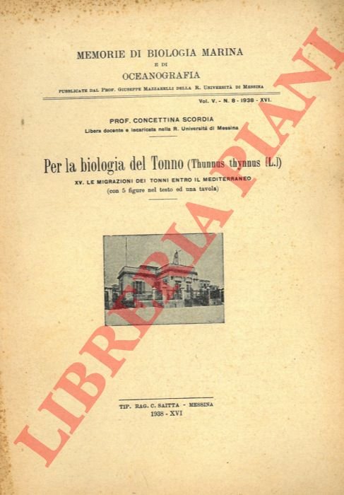 Per la biologia del Tonno. (Thunnus thynnus L.) XV - …
