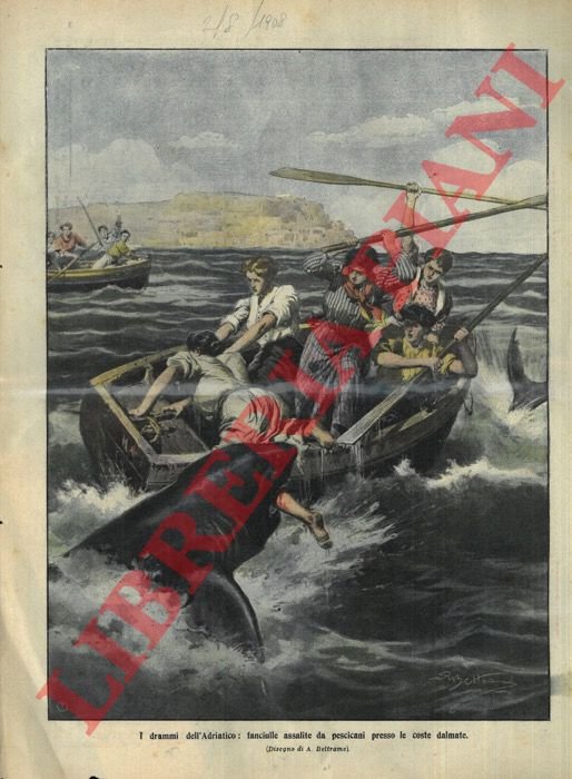 Pescicani aggrediscono imbarcazione carica di fanciulle sulle coste dalmate.