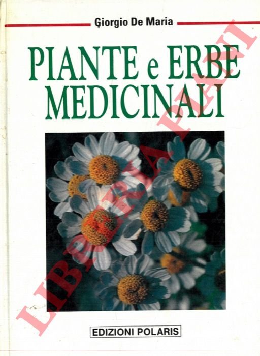 Piante e erbe medicinali.