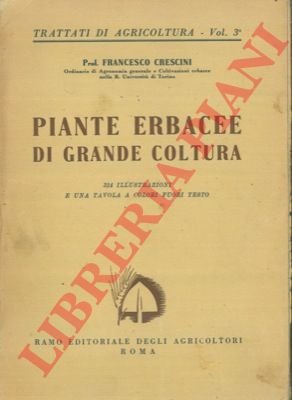 Piante erbacee di grande coltura.