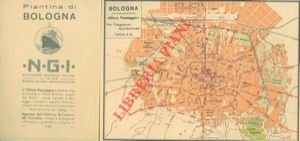 Piantina pubblicitaria.