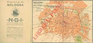 Piantina pubblicitaria.