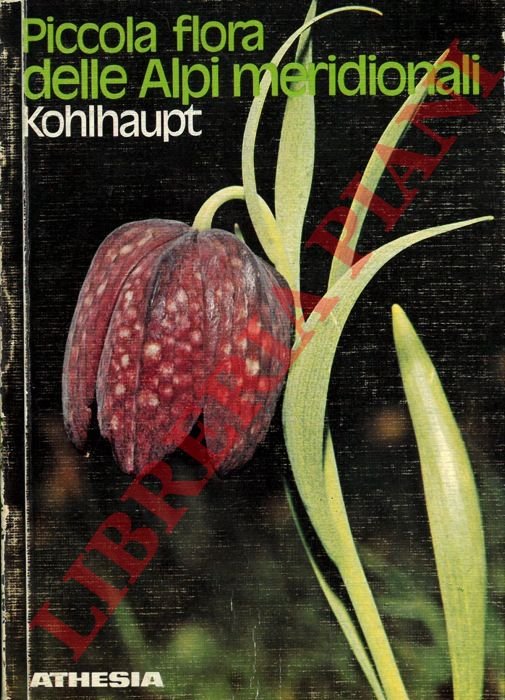 Piccola flora delle Alpi meridionali.