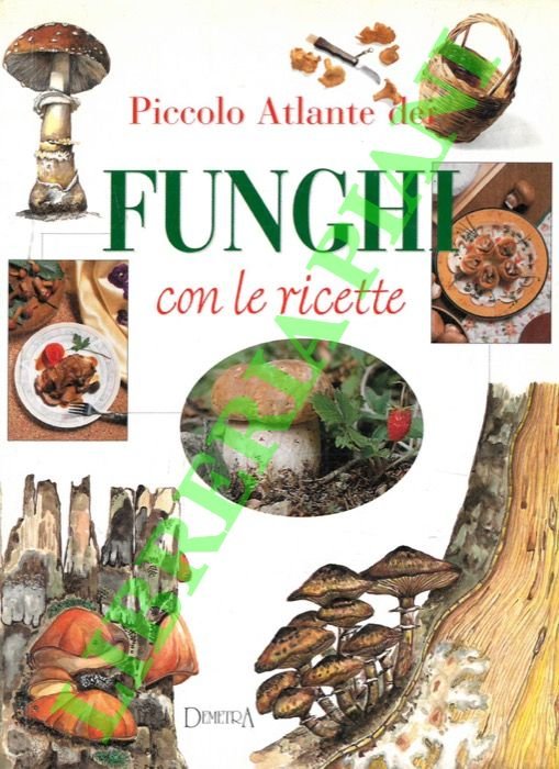 Piccolo atlante dei funghi con le ricette.