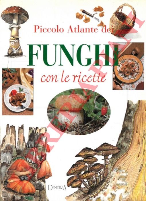Piccolo atlante dei funghi con le ricette.