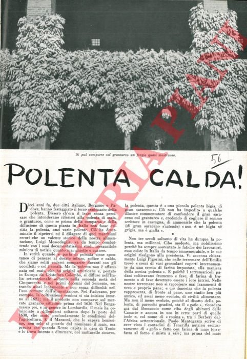 Polenta calda.