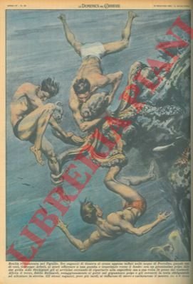 Polpo a Portofino trascina verso il fondo bagnante e quasi …