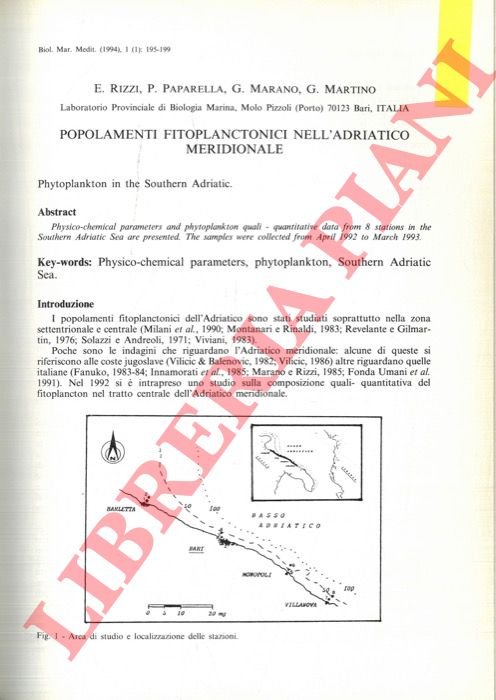 Popolamenti fitoplanctonici nell'Adriatico meridionale.