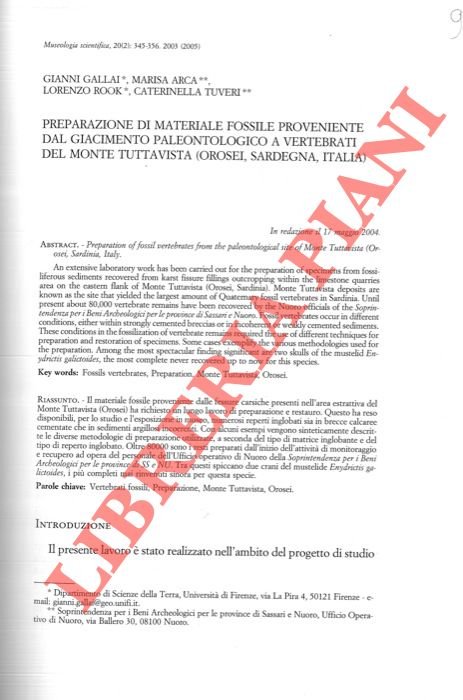 Preparazione di materiale fossile proveniente dal giacimento paleontologico a vertebrati …