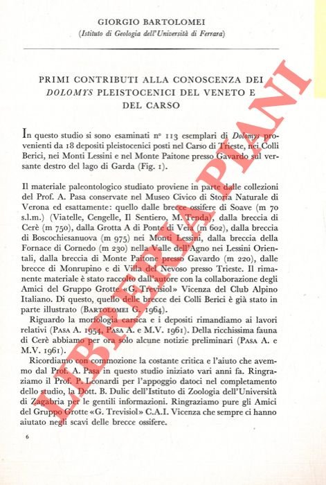Primi contributi alla conoscenza dei Dolomys pleistocenici del Veneto e …