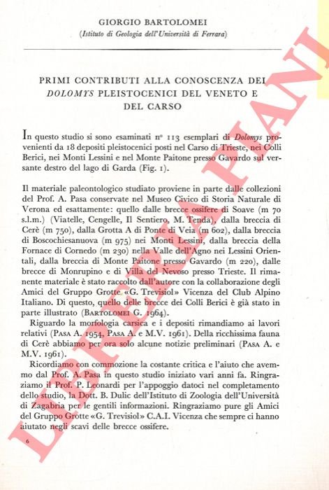 Primi contributi alla conoscenza dei Dolomys pleistocenici del Veneto e …