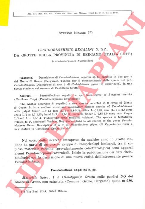 Pseudoblothrus regalini n. sp. , da grotte della provincia di … | Immagine Gallery 3