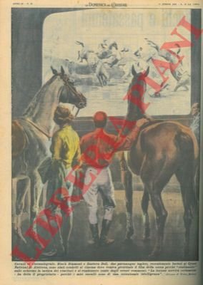 Purosangue condotti al cinema, dove viene proiettato film della corsa, …