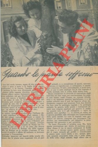 Quando le piante soffrono. | Immagine Gallery 2