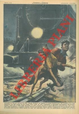 Ragazzo che salva cane impigliato con una zampa tra gli …