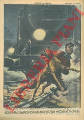 Ragazzo che salva cane impigliato con una zampa tra gli …