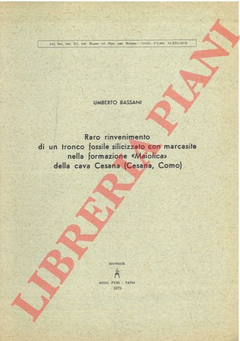 Raro rinvenimento di un tronco fossile silicizzato con marcasite nella …