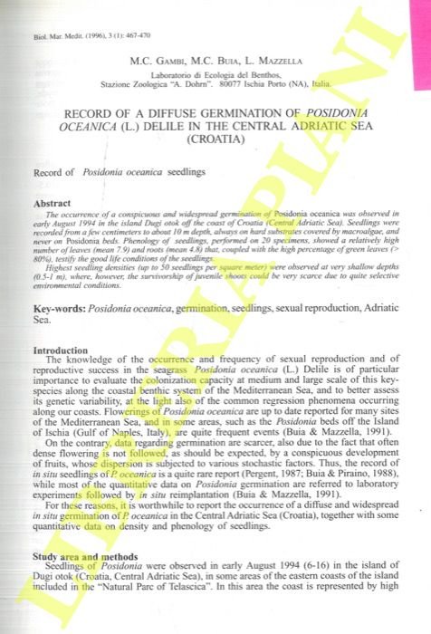 Record of a diffuse germination of Posidonia oceanica (L.) Delile …