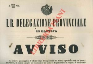 Regolamentazione sulle abusive piantaggioni d'alberi lungo le arginature dei fiumi.