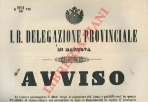 Regolamentazione sulle abusive piantaggioni d'alberi lungo le arginature dei fiumi.