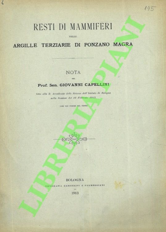 Resti di mammiferi nelle argille terziarie di ponzano Magra.