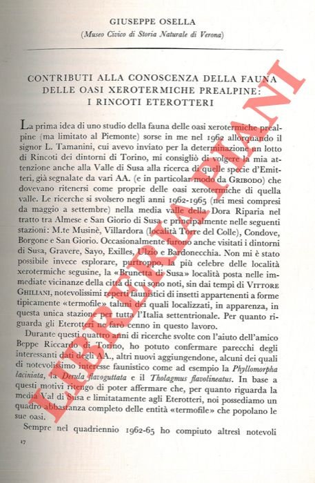 Revisione del genere Caulomorphus Faust e descrizione di cinque nuove …