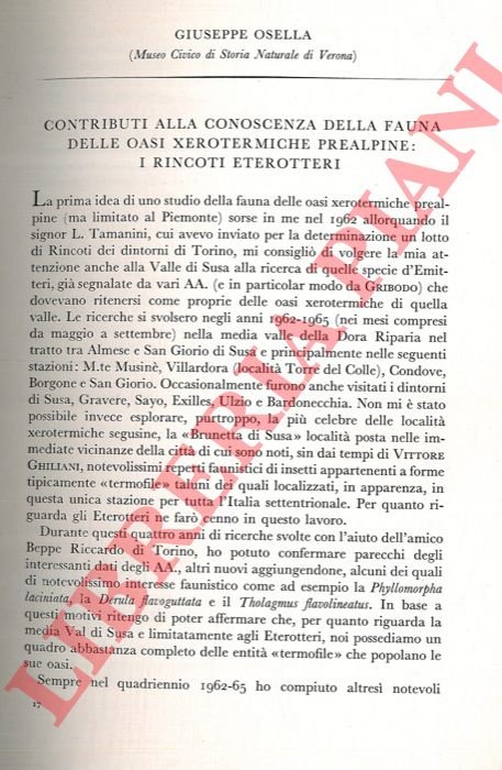 Revisione del genere Caulomorphus Faust e descrizione di cinque nuove …
