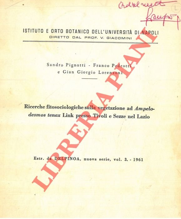 Ricerche fitosociologiche sulla vegetazione ad Ampelodesmos tenax Link presso Tivoli …