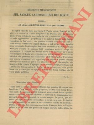 Ricerche micologiche sul sangue carbonchioso dei bovini.