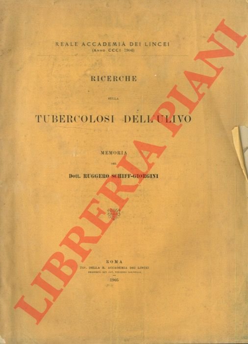Ricerche sulla tubercolosi dell'ulivo.