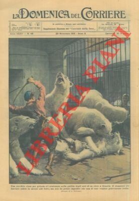 Rissa per gelosia scatenatasi nella gabbia degli orsi in un …