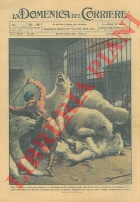 Rissa per gelosia scatenatasi nella gabbia degli orsi in un …