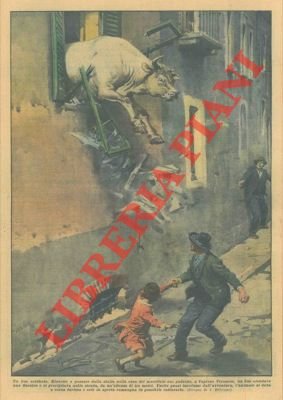 Riuscito a passare dalla stalla nella casa del macellaio suo …