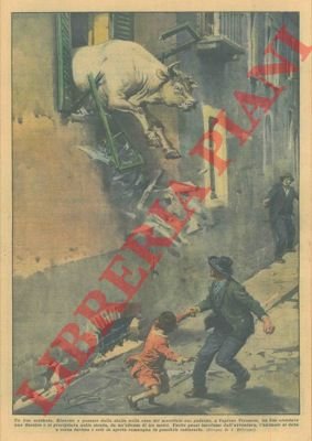 Riuscito a passare dalla stalla nella casa del macellaio suo …