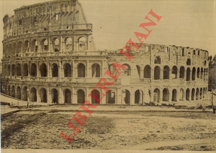 Roma. Colosseo.