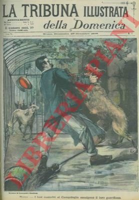Roma. I lupi custoditi al Campidoglio assalgono il loro guardiano.
