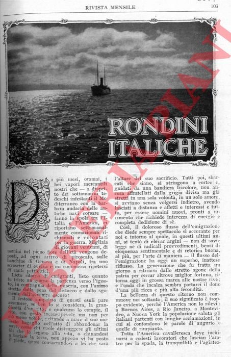 Rondini Italiche.
