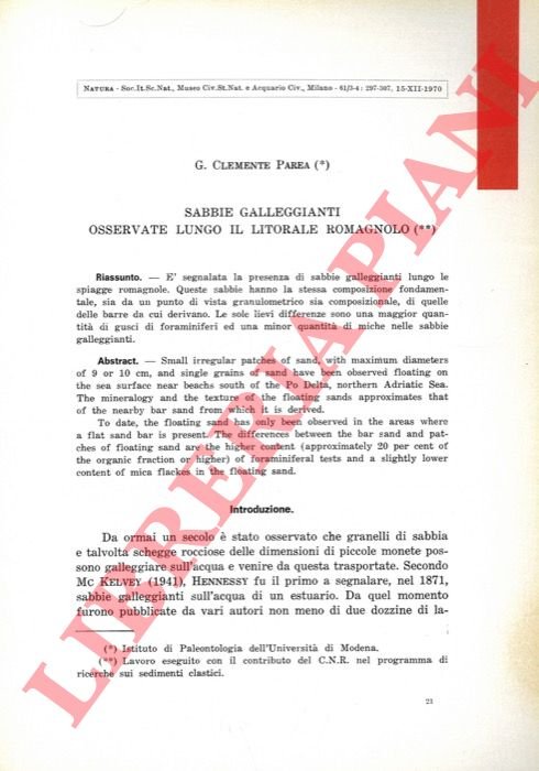 Sabbie galleggianti osservate lungo il litorale romagnolo.