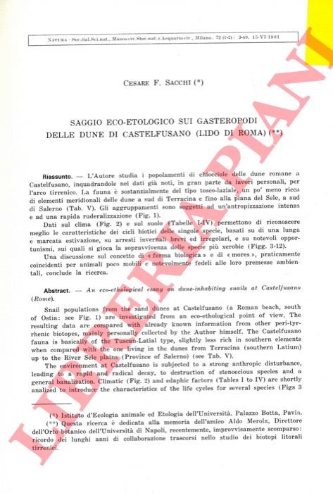 Saggio eco-etologico sui Gasteropodi delle dune di Castelfusano (Lido di …