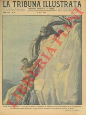 Salvato dall'orango fedele. Nell'isola di Borneo, l'incettatore di animali da …